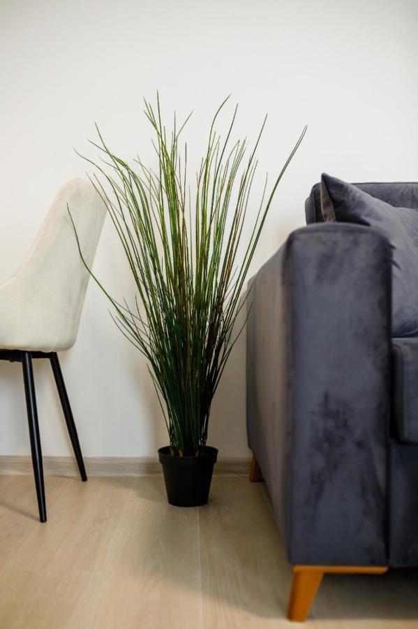Aurora Apartments Mamaja Zewnętrze zdjęcie